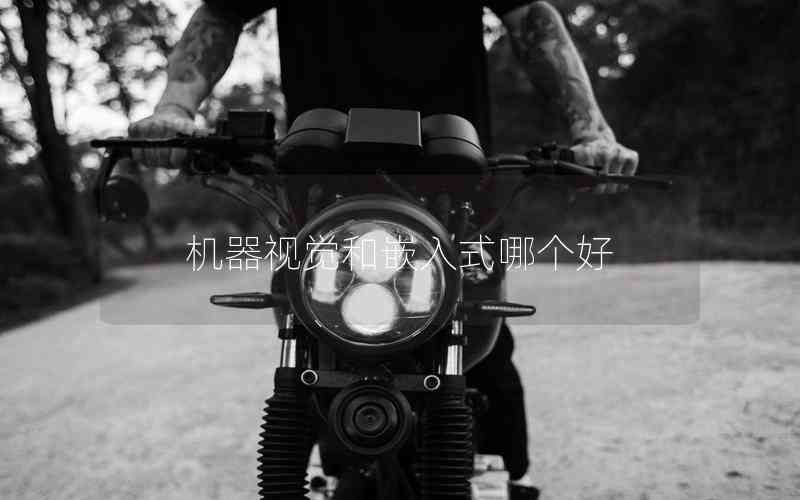 機器視覺和嵌入式哪個好