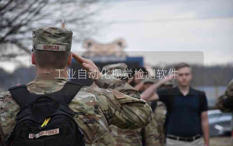 工業(yè)自動化視覺檢測軟件