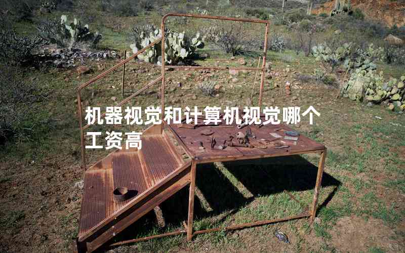 機(jī)器視覺和計(jì)算機(jī)視覺哪個(gè)工資高