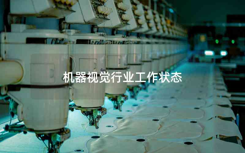 機(jī)器視覺行業(yè)工作狀態(tài)