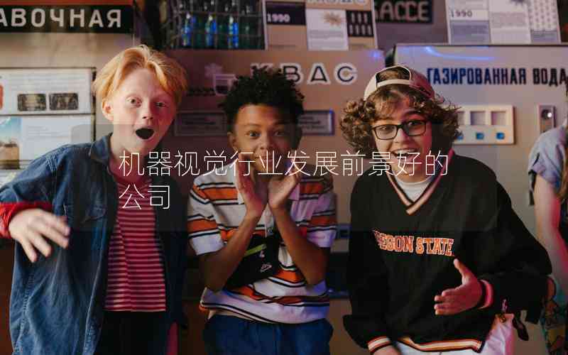 機(jī)器視覺(jué)行業(yè)發(fā)展前景好的公司