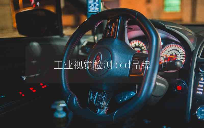 工業(yè)視覺(jué)檢測(cè) ccd品牌