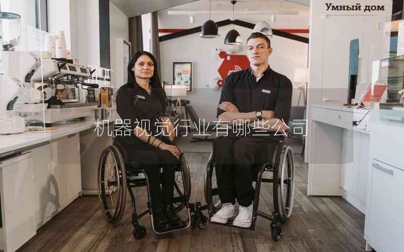 機(jī)器視覺行業(yè)有哪些公司