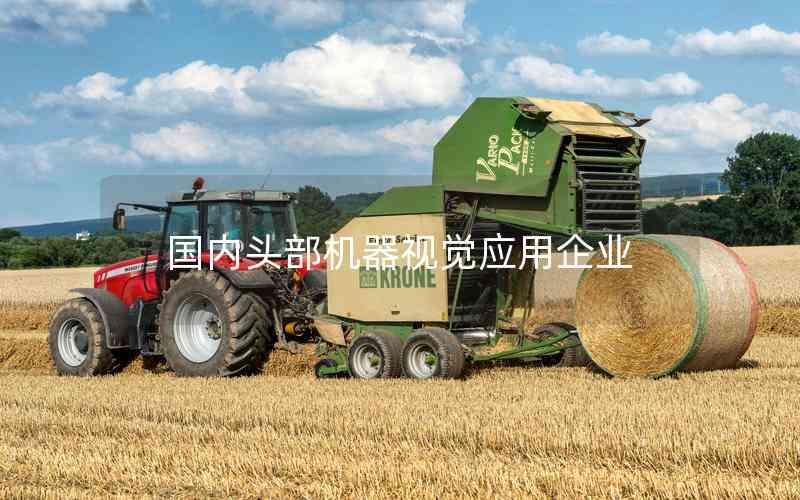 國(guó)內(nèi)頭部機(jī)器視覺應(yīng)用企業(yè)