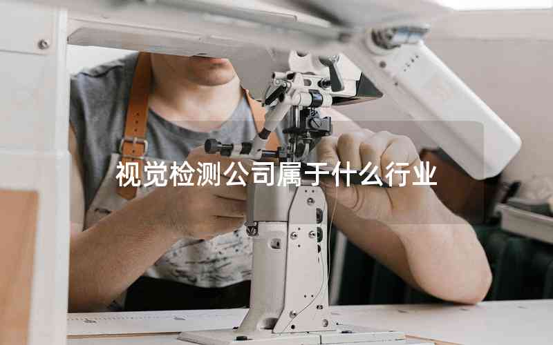視覺(jué)檢測(cè)公司屬于什么行業(yè)