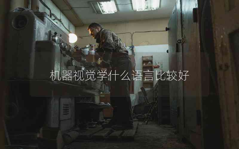 機(jī)器視覺學(xué)什么語言比較好