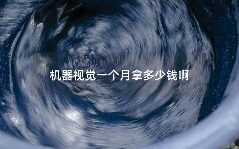 機器視覺一個月拿多少錢啊