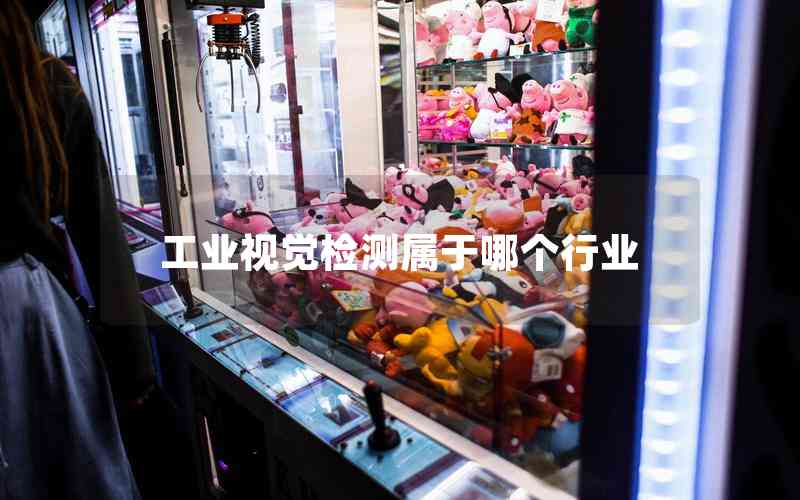 工業(yè)視覺檢測屬于哪個行業(yè)
