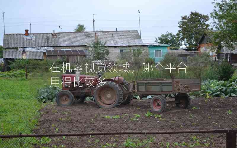 在機(jī)器視覺(jué)領(lǐng)域，哪個(gè)平臺(tái)用得比較多