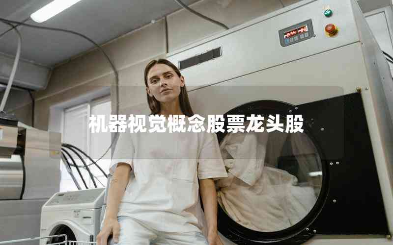 機器視覺概念股票龍頭股