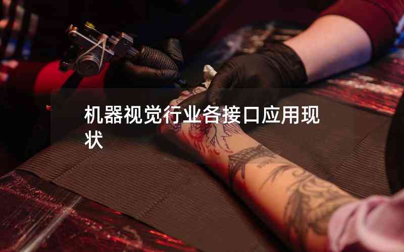 機器視覺行業(yè)各接口應用現狀