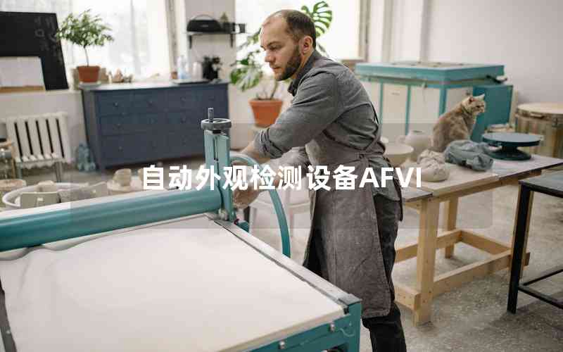 自動外觀檢測設(shè)備AFVI