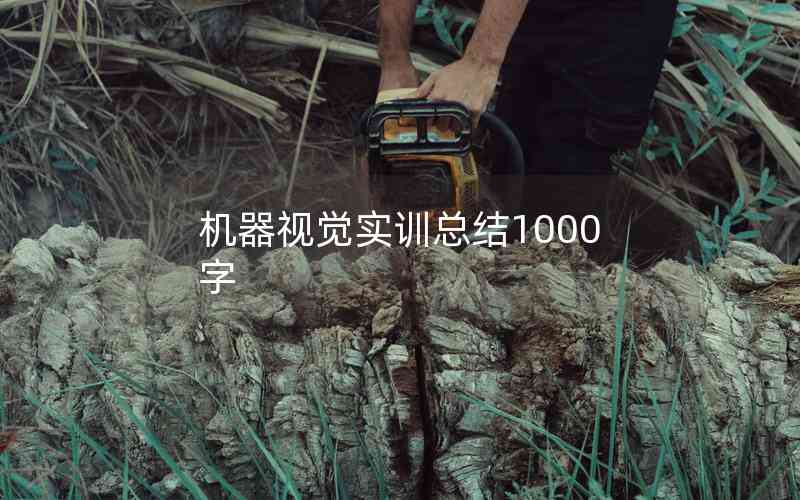 機(jī)器視覺實(shí)訓(xùn)總結(jié)1000字