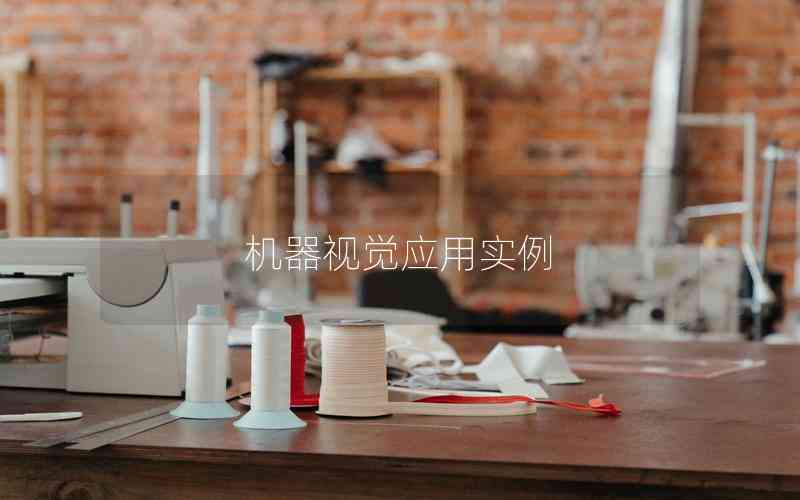 機(jī)器視覺應(yīng)用實(shí)例