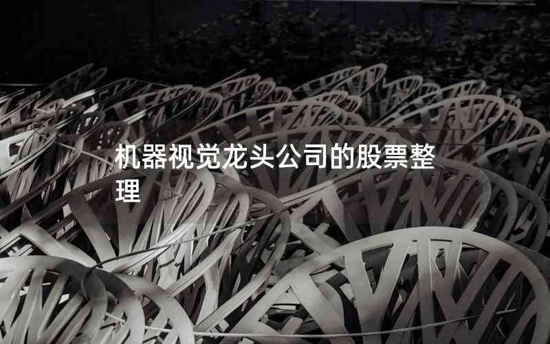 機(jī)器視覺龍頭公司的股票整理