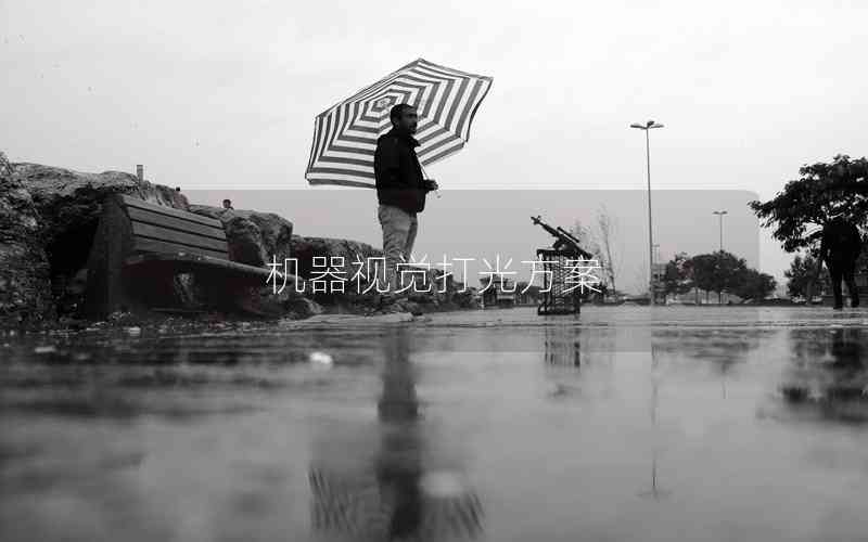 機(jī)器視覺(jué)打光方案