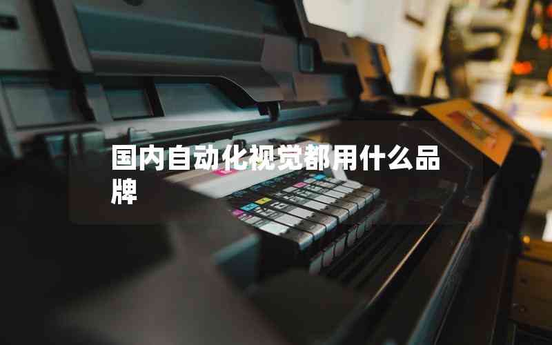 國內(nèi)自動(dòng)化視覺都用什么品牌
