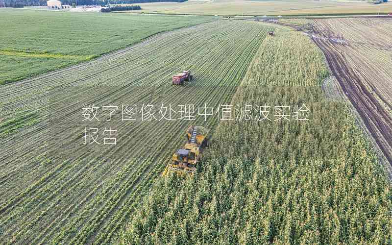 數(shù)字圖像處理中值濾波實驗報告