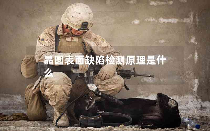 晶圓表面缺陷檢測原理是什么