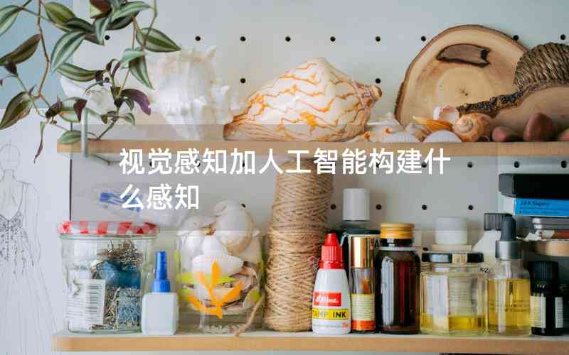 視覺(jué)感知加人工智能構(gòu)建什么感知