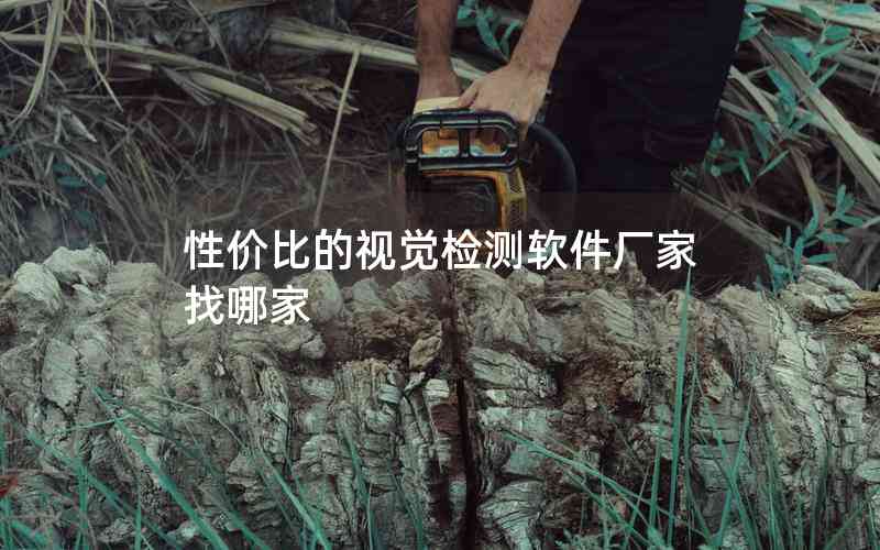 性價比的視覺檢測軟件廠家找哪家