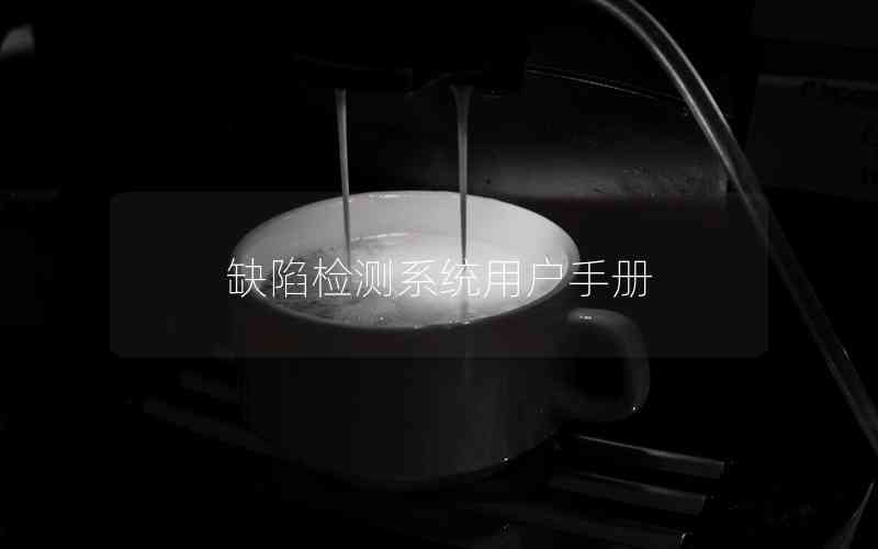 缺陷檢測(cè)系統(tǒng)用戶手冊(cè)