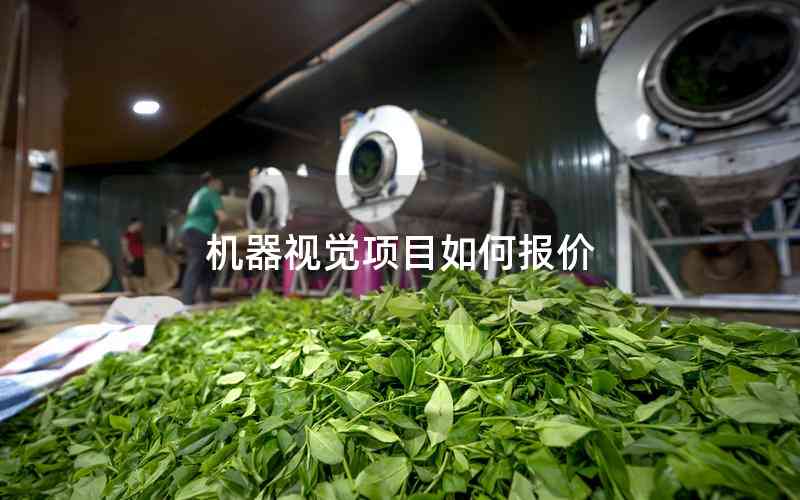 機(jī)器視覺項(xiàng)目如何報價