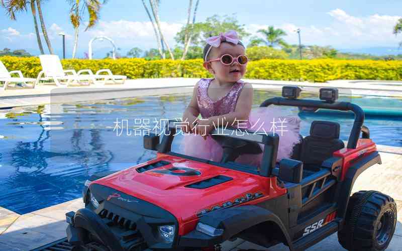 機器視覺行業(yè)怎么樣