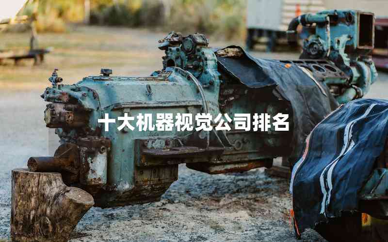 十大機(jī)器視覺公司排名