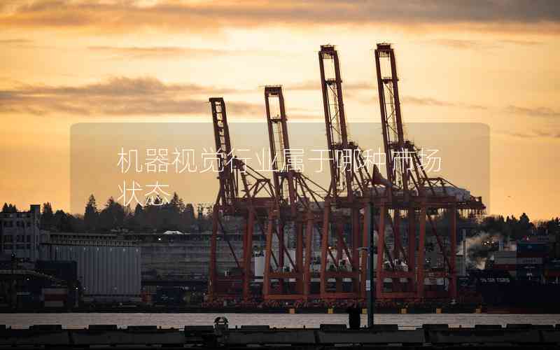 機器視覺行業(yè)屬于哪種市場狀態(tài)