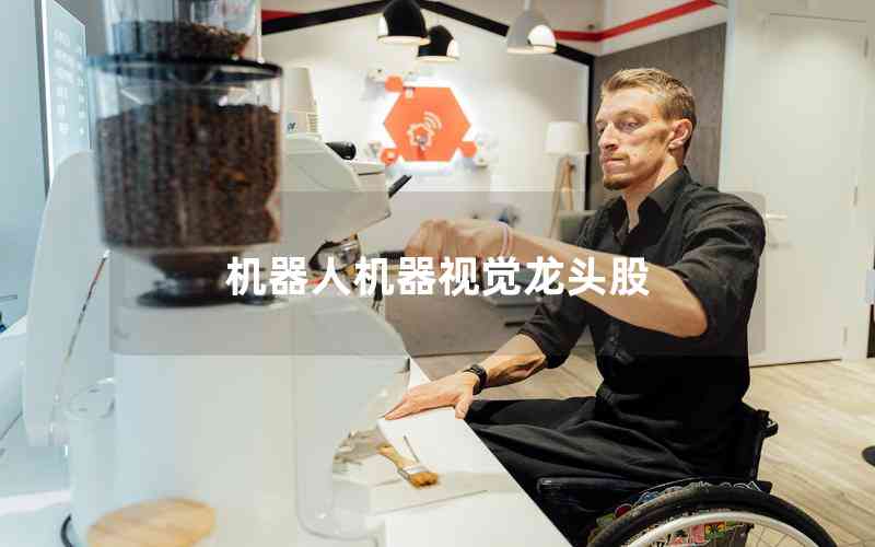 機(jī)器人機(jī)器視覺龍頭股