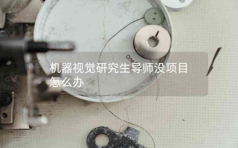機(jī)器視覺研究生導(dǎo)師沒項(xiàng)目怎么辦