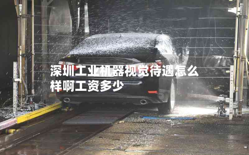 深圳工業(yè)機(jī)器視覺待遇怎么樣啊工資多少