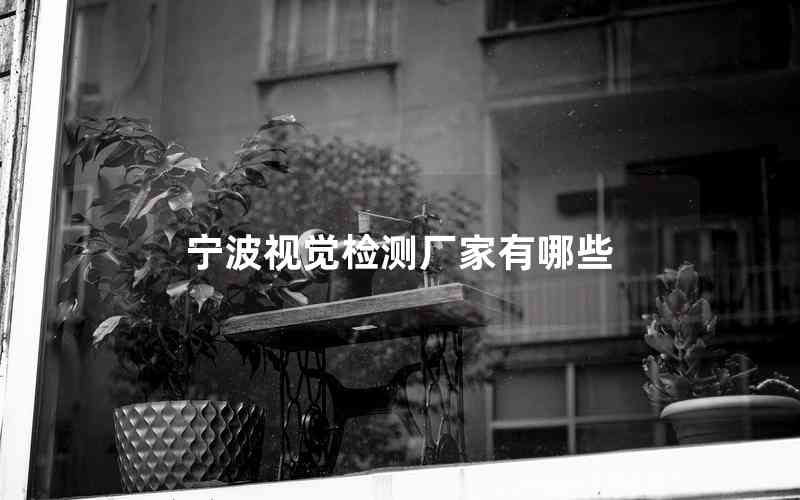 寧波視覺檢測(cè)廠家有哪些