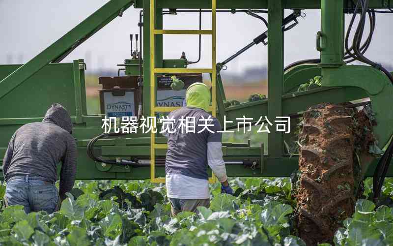 機(jī)器視覺(jué)相關(guān)上市公司