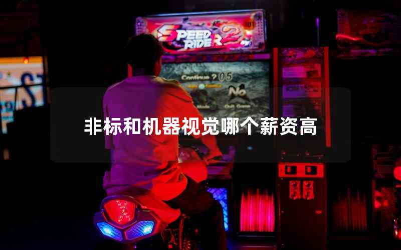 非標(biāo)和機(jī)器視覺哪個薪資高