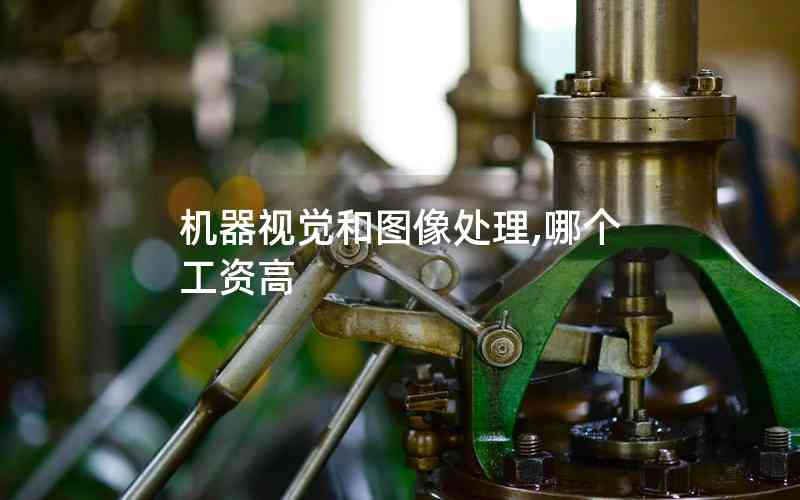 機(jī)器視覺和圖像處理,哪個(gè)工資高