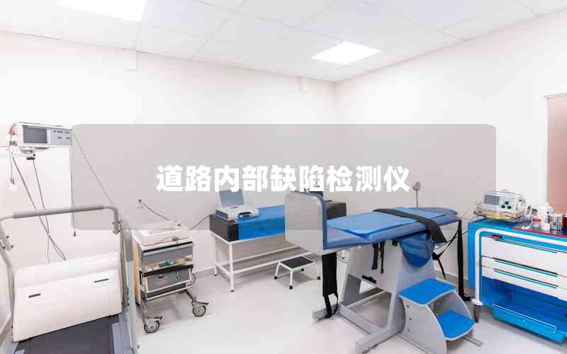 道路內(nèi)部缺陷檢測(cè)儀