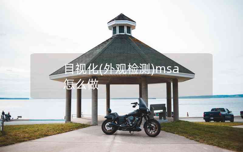 目視化(外觀檢測)msa怎么做