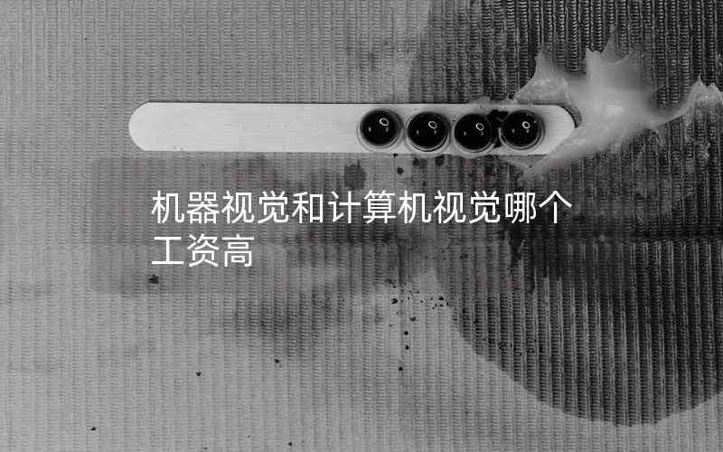 機器視覺和計算機視覺哪個工資高