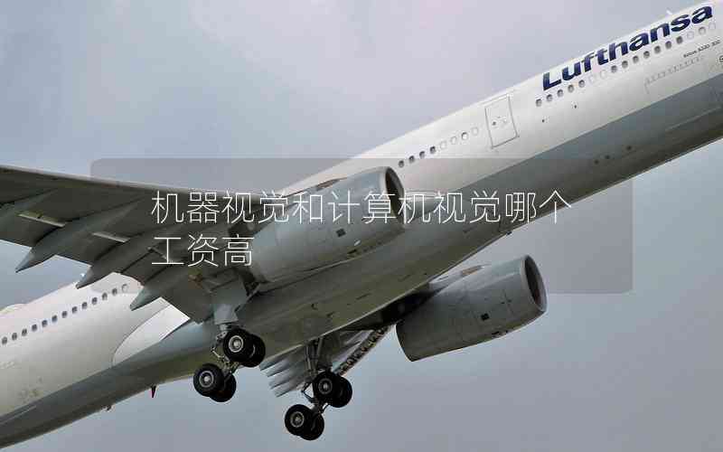 機(jī)器視覺和計算機(jī)視覺哪個工資高