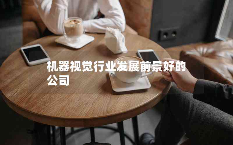 機(jī)器視覺行業(yè)發(fā)展前景好的公司
