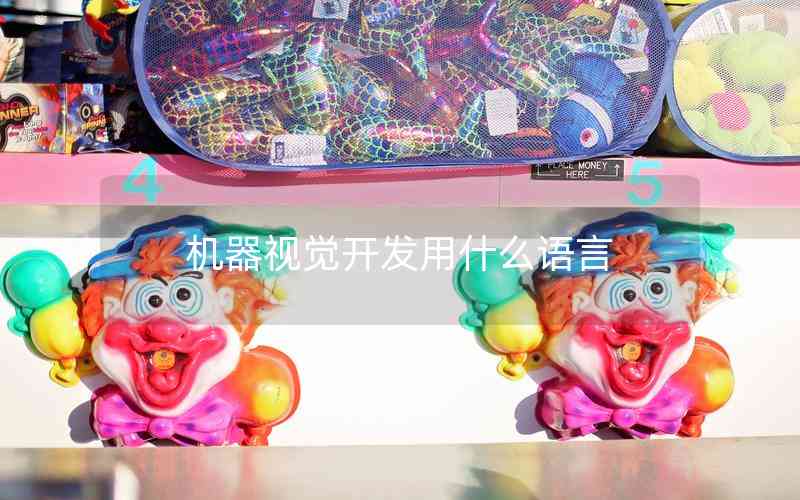 機(jī)器視覺(jué)開(kāi)發(fā)用什么語(yǔ)言