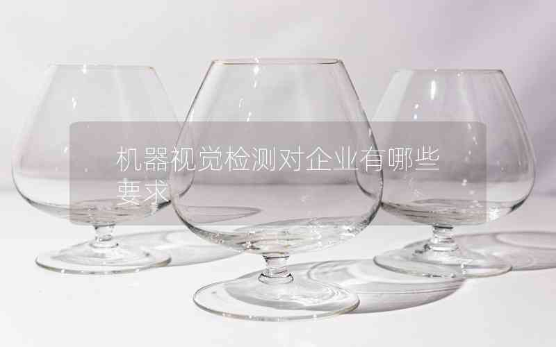 機器視覺檢測對企業(yè)有哪些要求