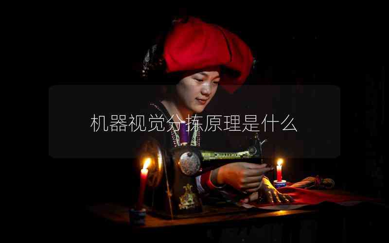 機器視覺分揀原理是什么