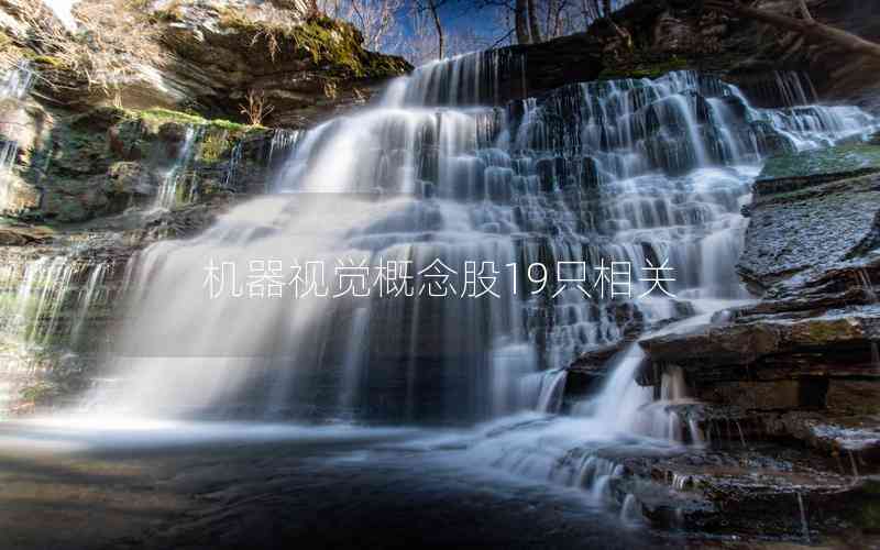 機器視覺概念股19只相關(guān)