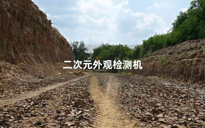 二次元外觀檢測機