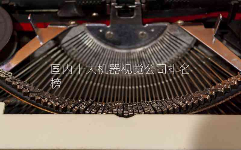 國內(nèi)十大機器視覺公司排名榜