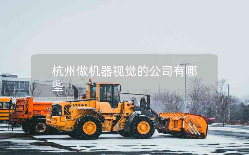 杭州做機器視覺的公司有哪些