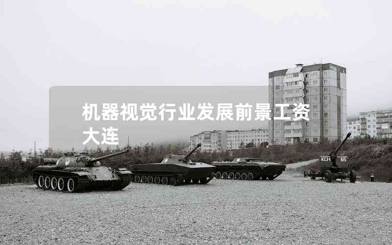 機(jī)器視覺行業(yè)發(fā)展前景工資大連